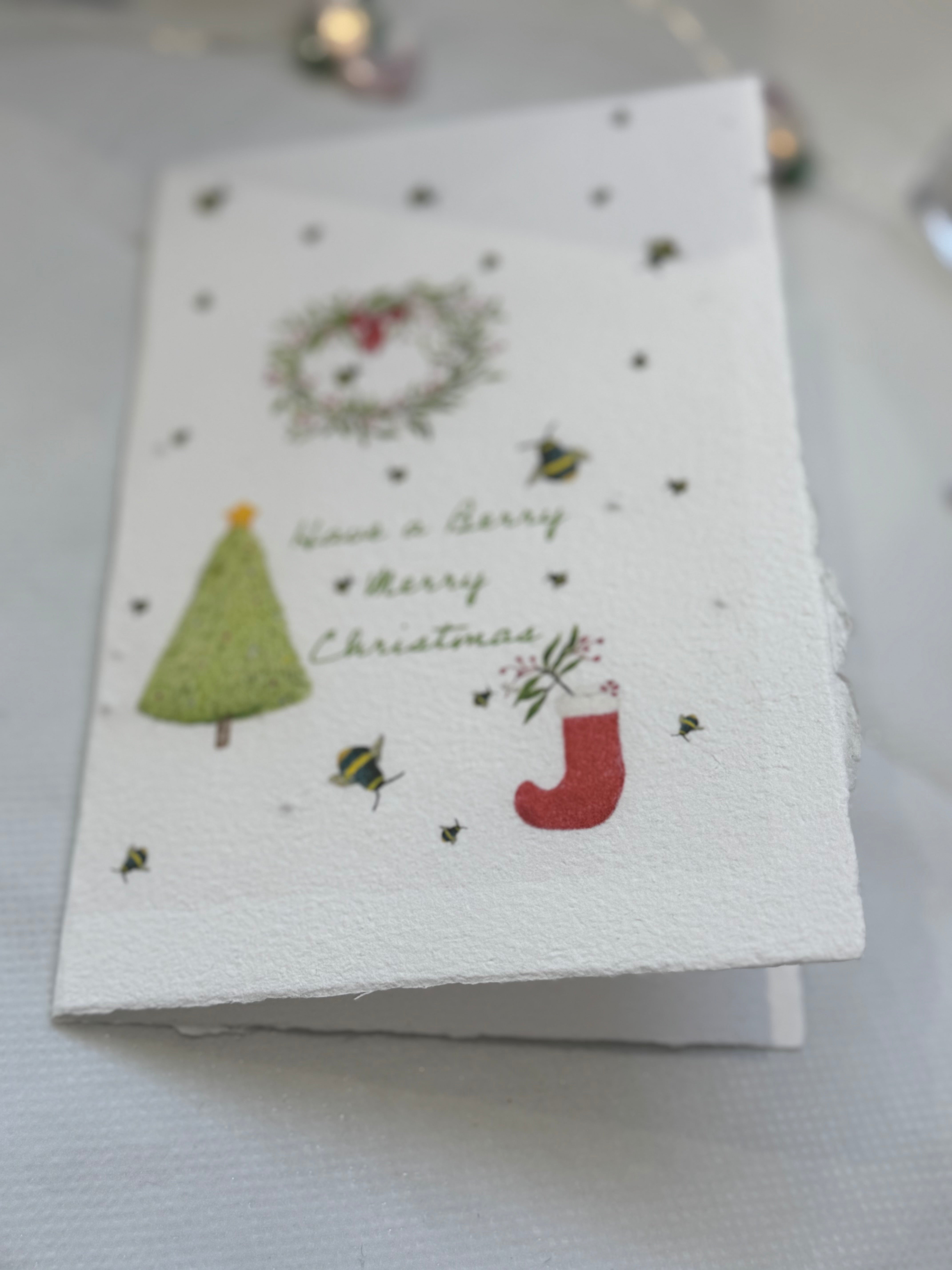 Christmas Seeded Paper Cards
