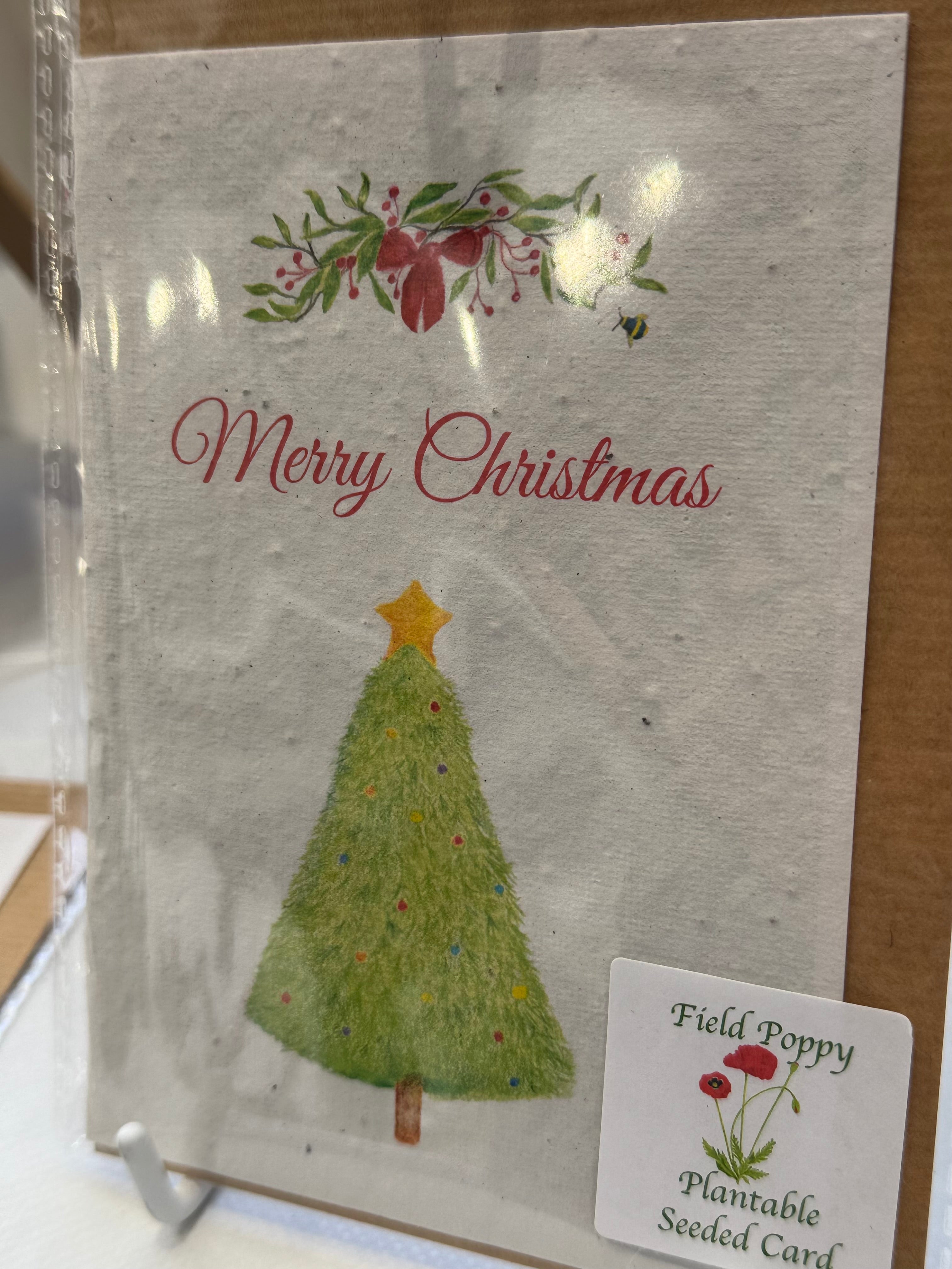 Christmas Seeded Paper Cards