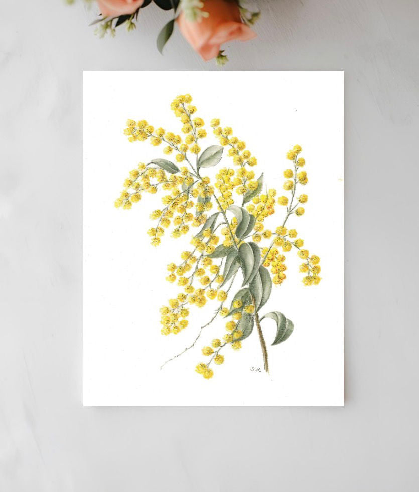 Golden Wattle Botanical Art Card - Handmade Watercolor Greeting Card
