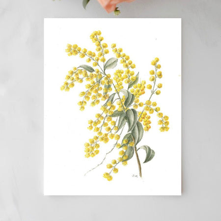 Golden Wattle Botanical Art Card - Handmade Watercolor Greeting Card