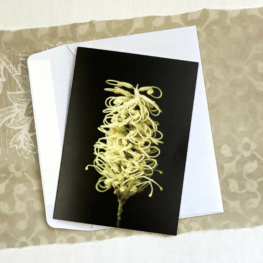 yellow grevillea fine art greeting card