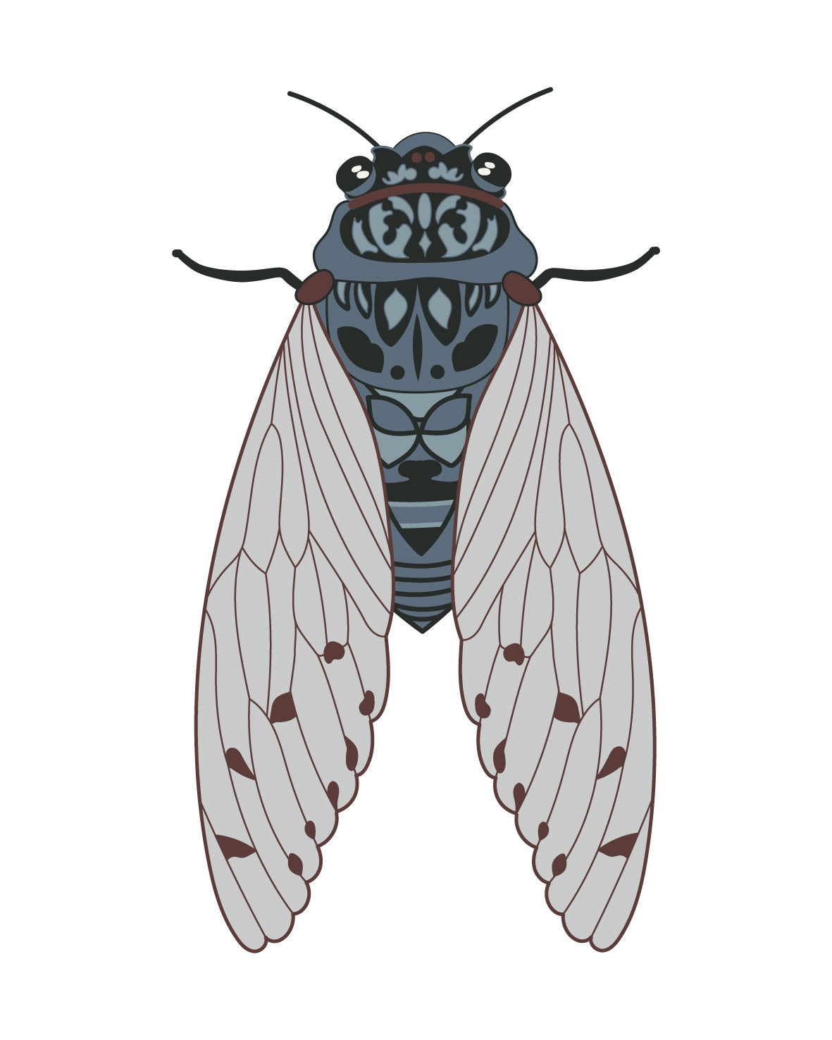 4 Different Cicada Bug Insect Stickers