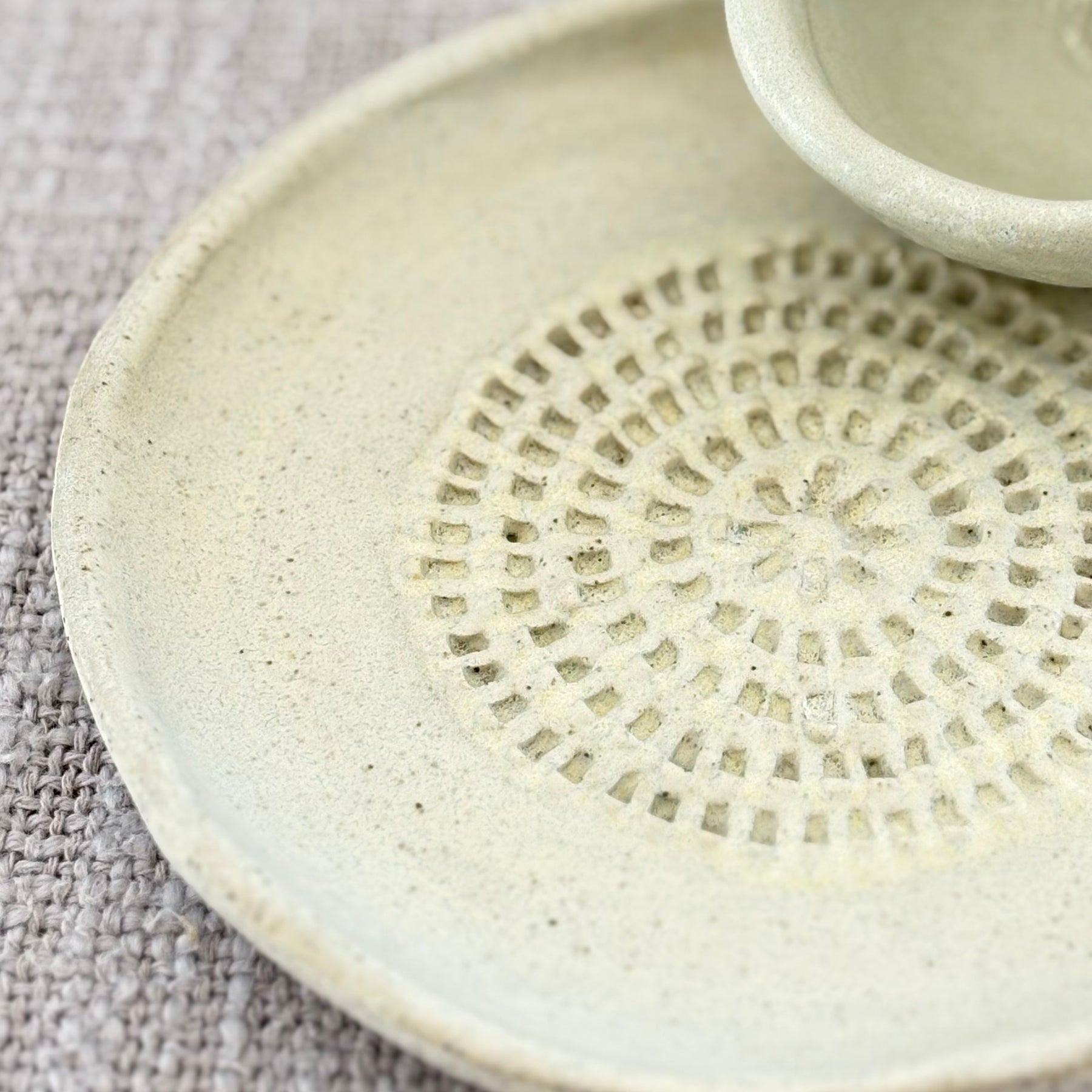 Garlic Shredder & Condiment Bowl ~ Shell