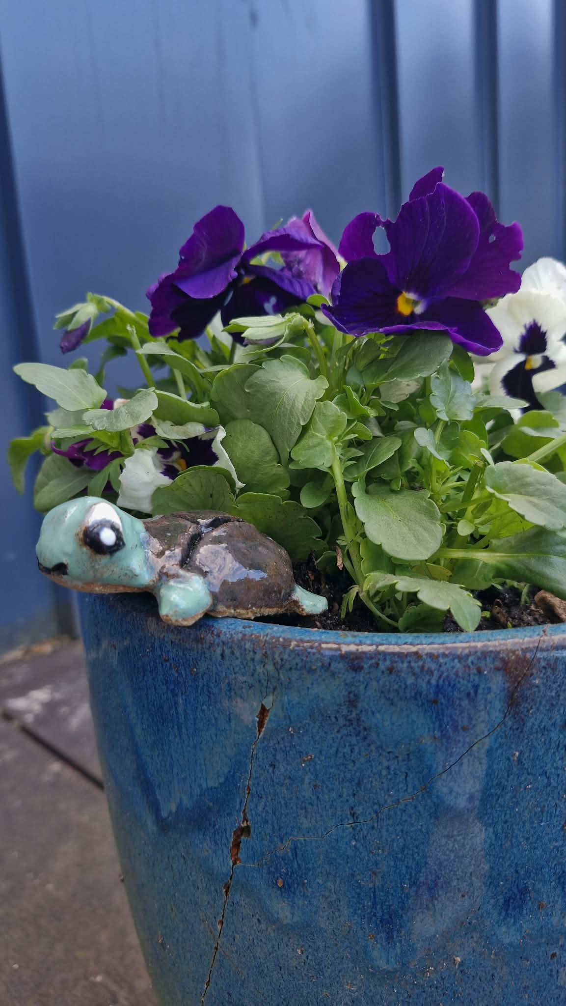 Turtle Small Sculpture
