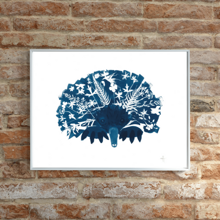 Echidna ~ Australian Animal Art ~ Cyanotype Print ~ Eco-friendly ~ 100% Recycled Nature You Can See