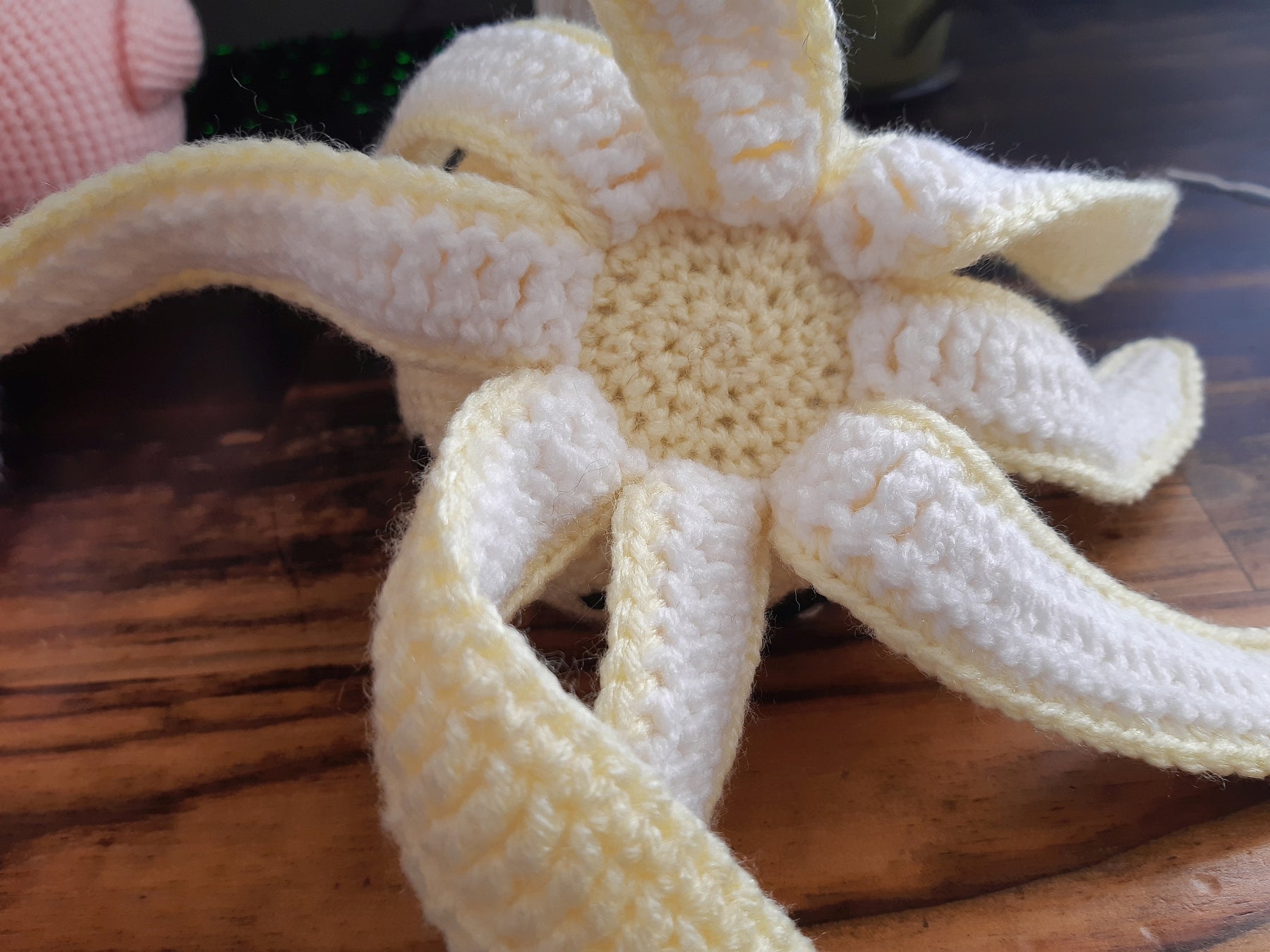 Cute Crochet Baby Octopus