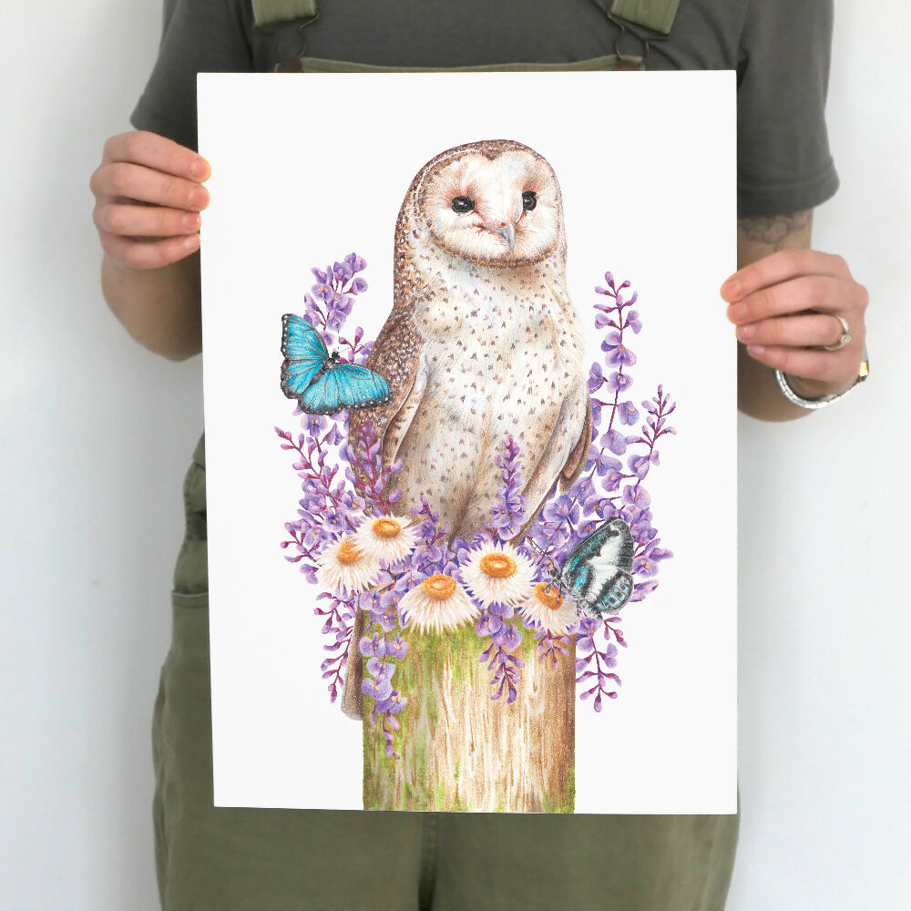 A3 art print of an Australian Masked Owl surrounded by butterflies and native Australian flowers, illustrated by Australian artist Kayla Reay.