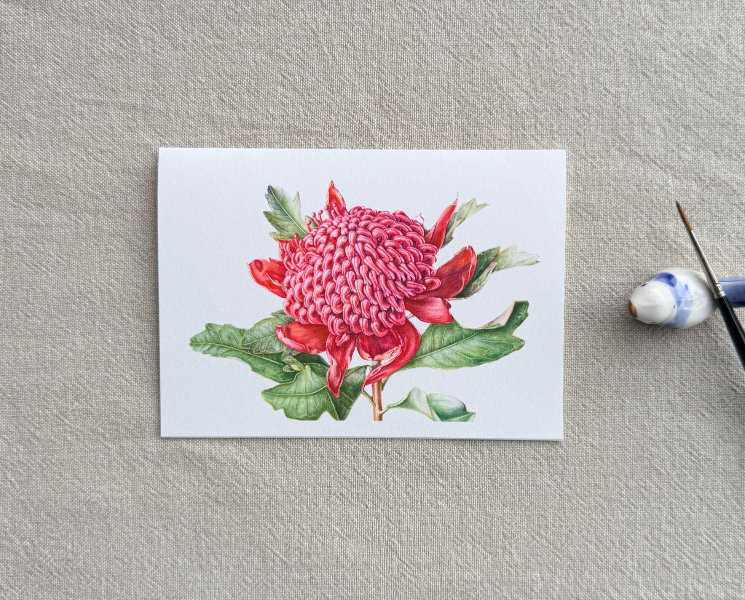 Waratah Botanical Art Card - Print of Original Painting