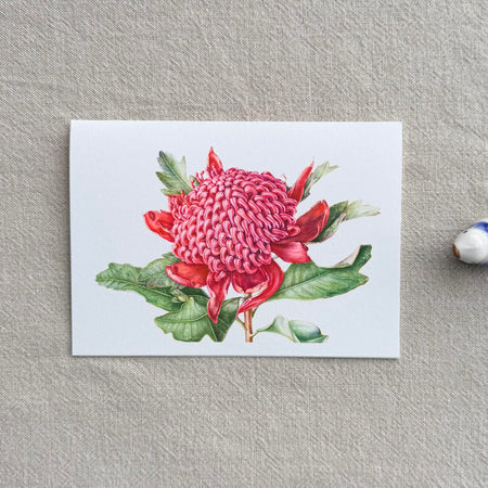 Waratah Botanical Art Card - Print of Original Painting