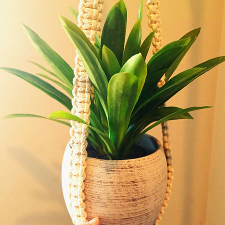 Macrame Plant Hanger - Tri Strand