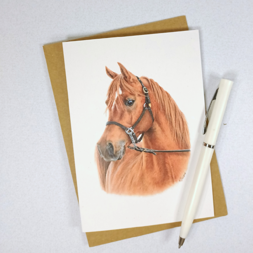 Australian-artist-greeting-card-arabian-horse