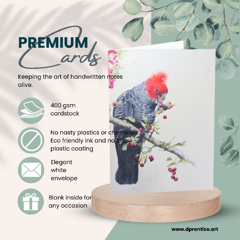 Product image premium greeting cards