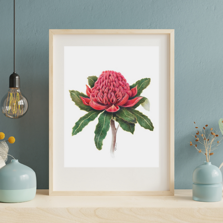 Wall Art Australian Waratah Flower A5 Print