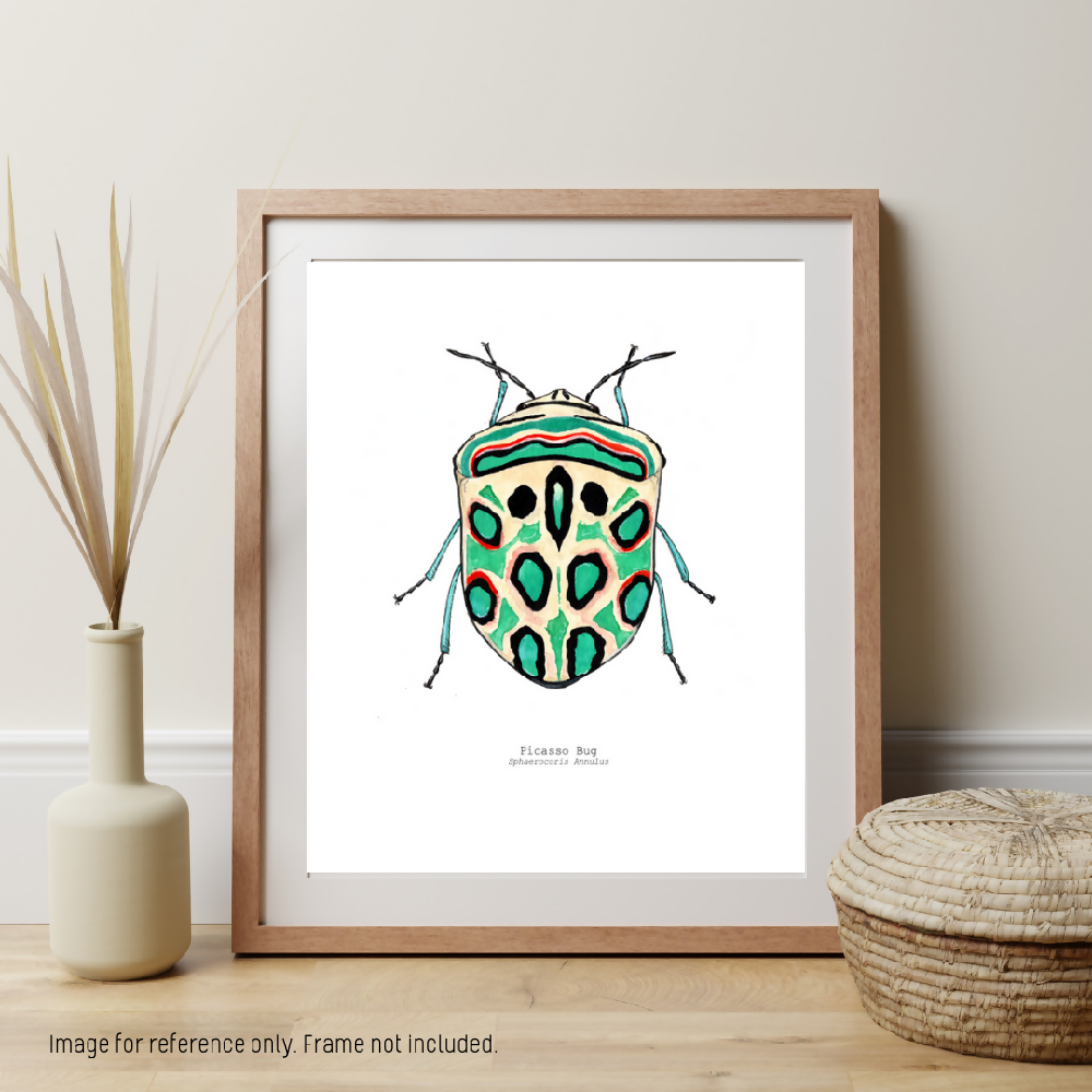 the fauna series - picasso bug