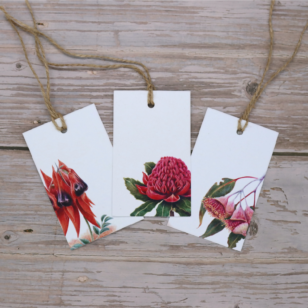 Australian-artist-illustration-gift-tag-native-flowers