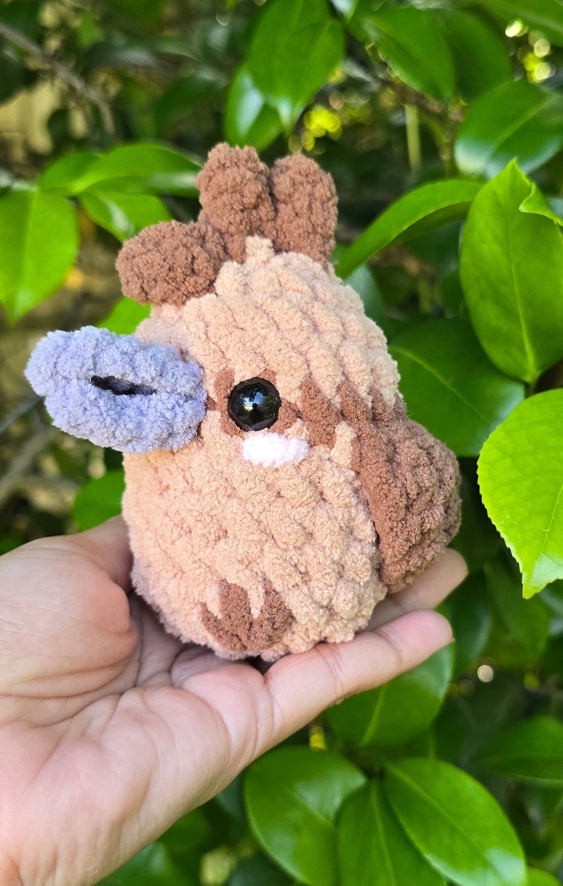 Crochet Australian Birds