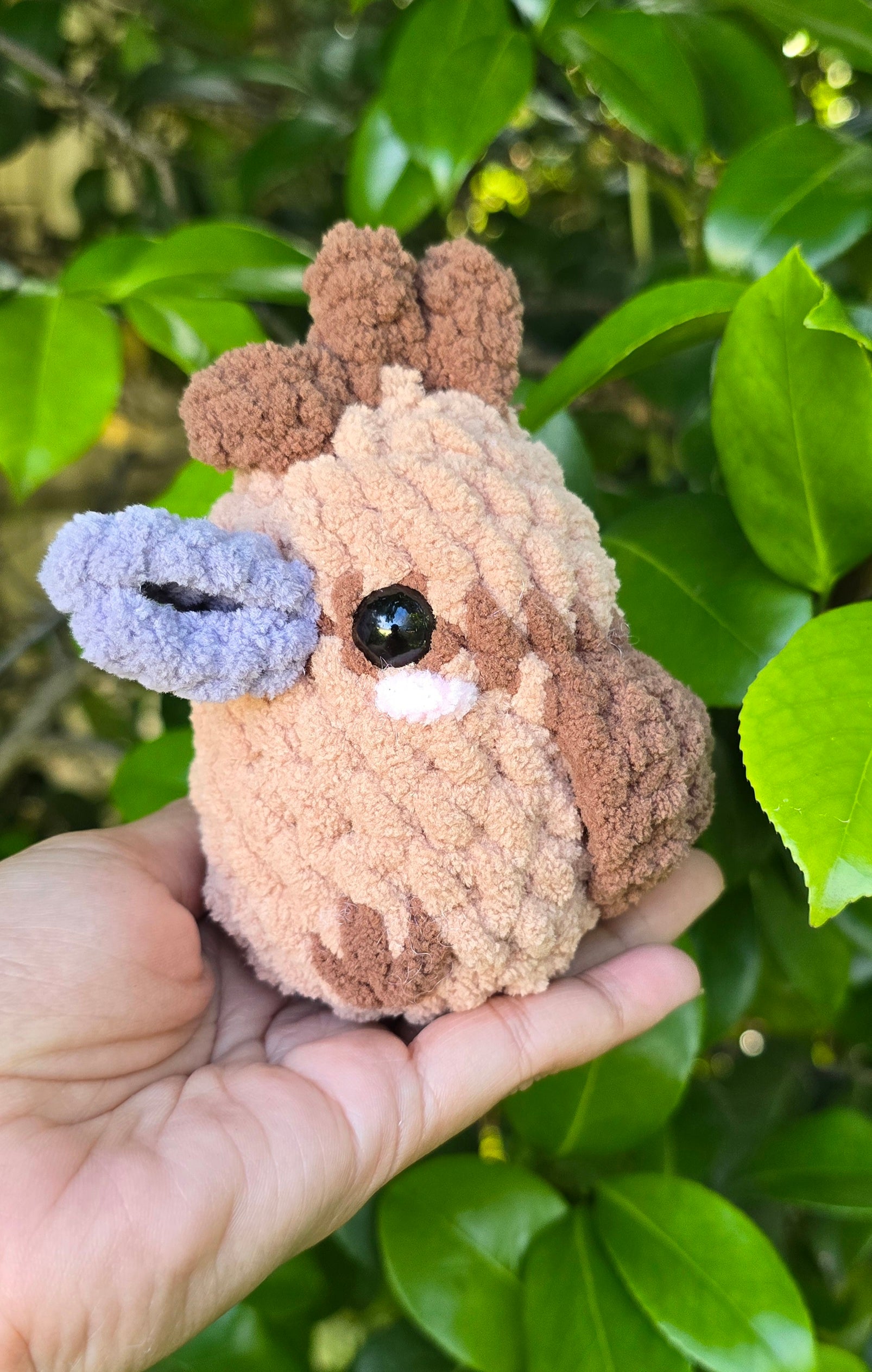 Crochet Australian Birds
