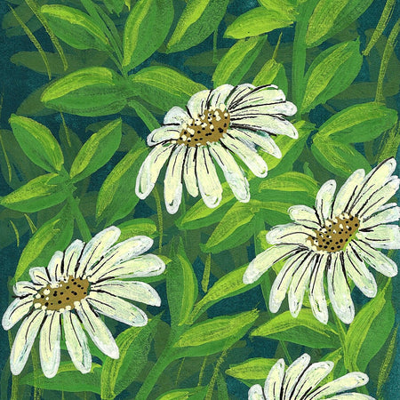 ACEO 