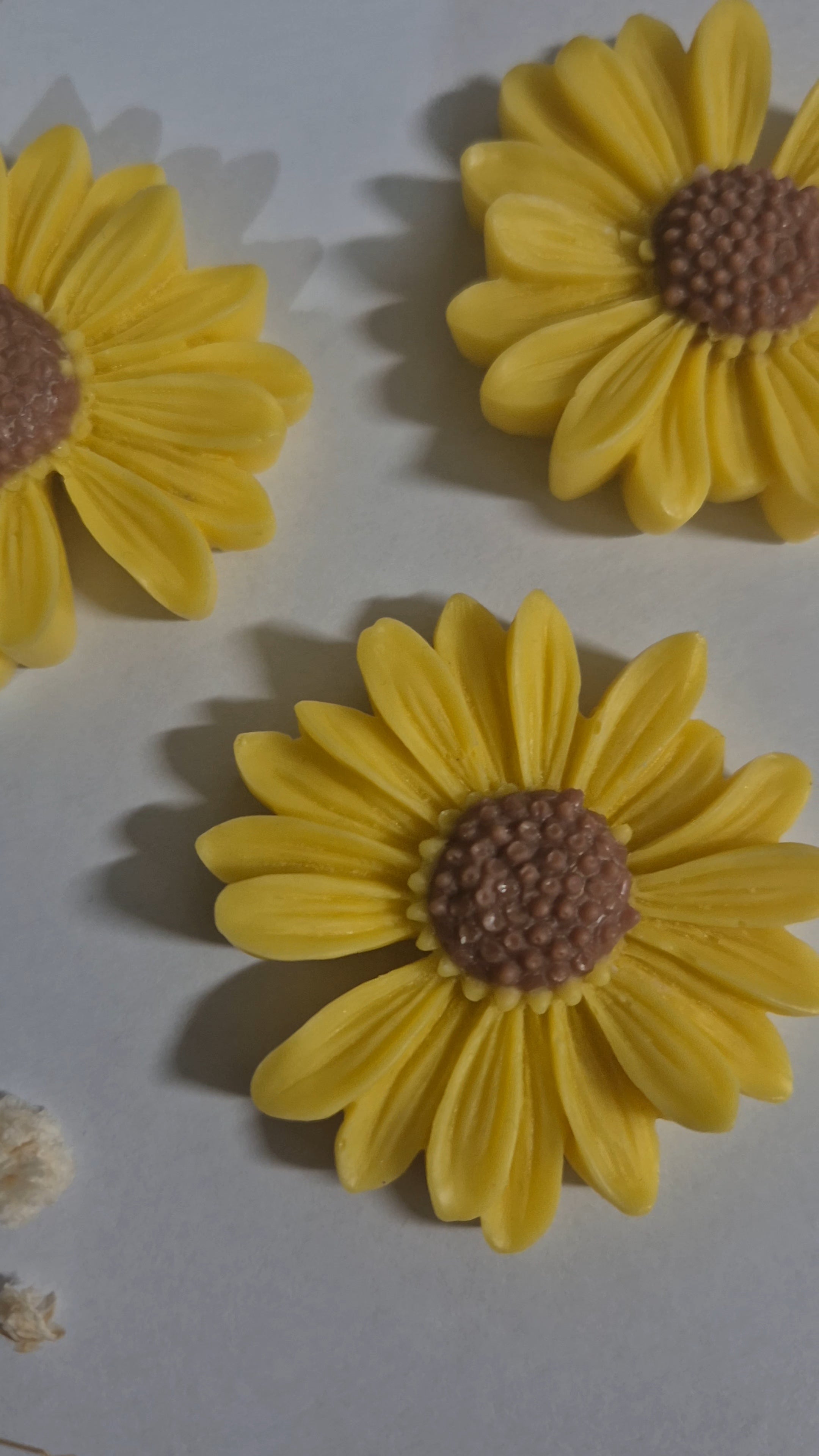 Flower wax melts