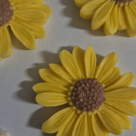 Flower wax melts