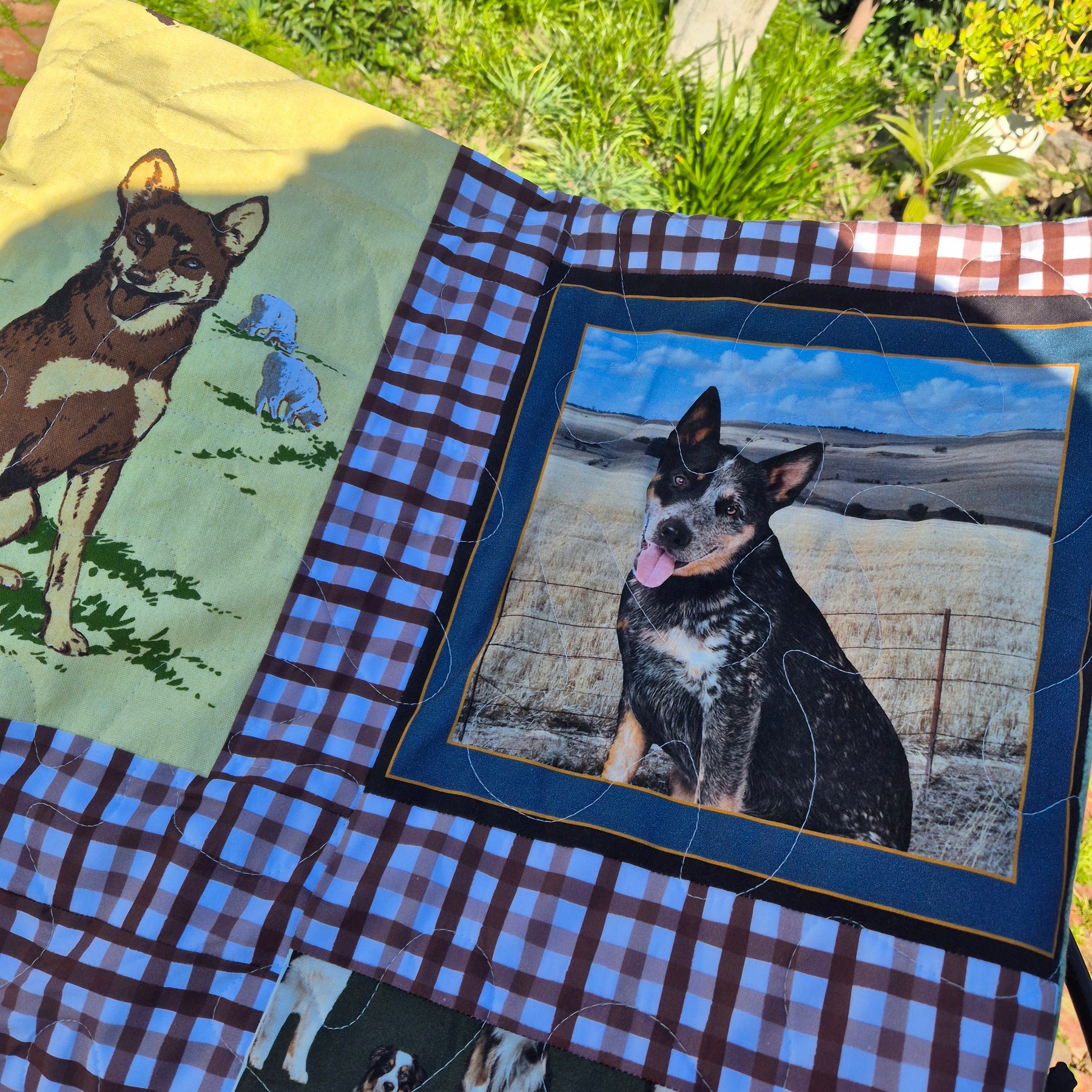 Muster time, Australian working dogs themed double bed sized quilt
