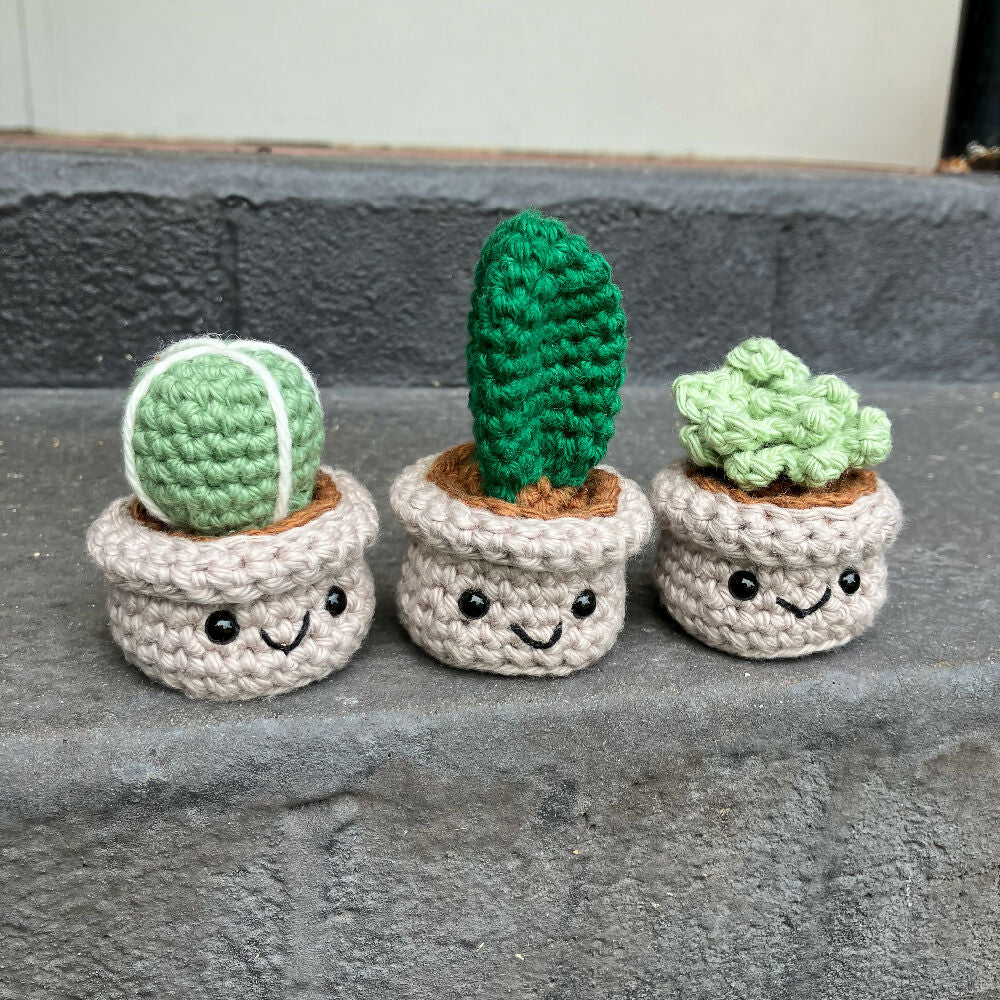 Crochet Succulent and Cacti Trio of Buddies