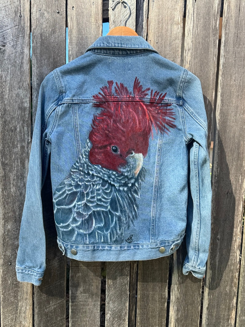 Gang Gang Cockatoo Hand-painted Denim Recycled Jacket (W6)