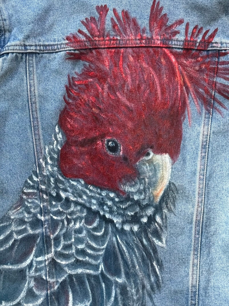 Gang Gang Cockatoo Hand-painted Denim Recycled Jacket (W6)