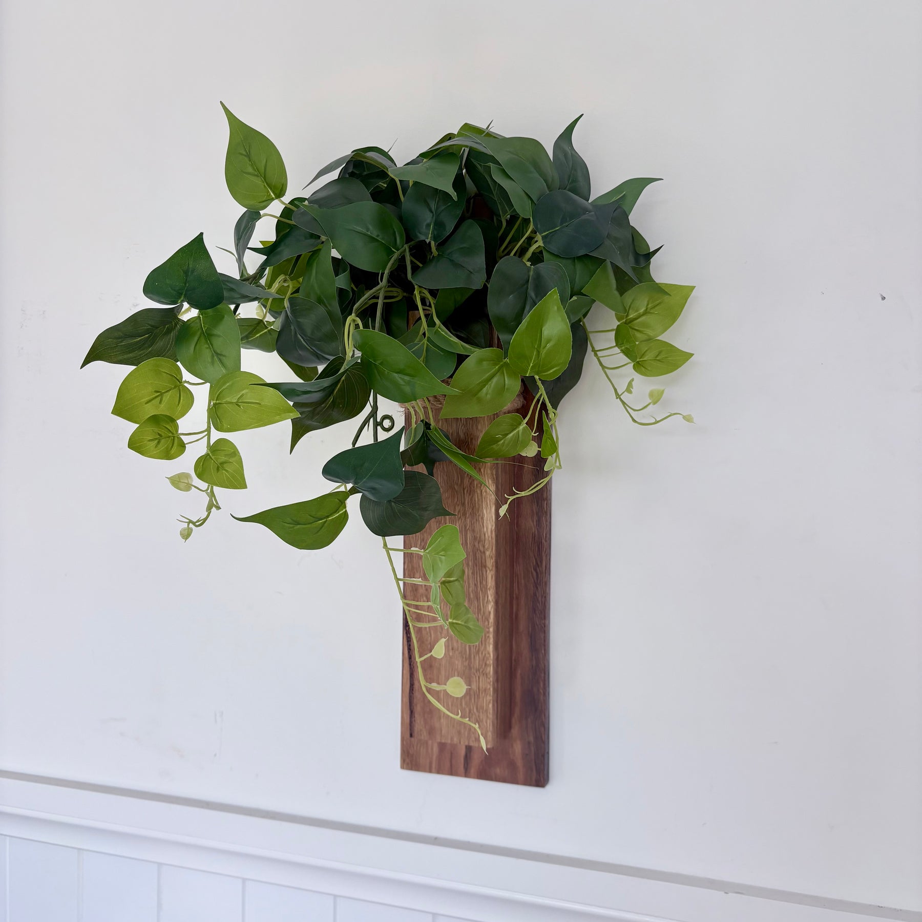 Spotted gum Wall pocket vase