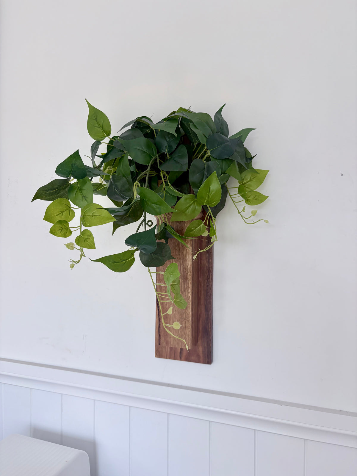 Spotted gum Wall pocket vase