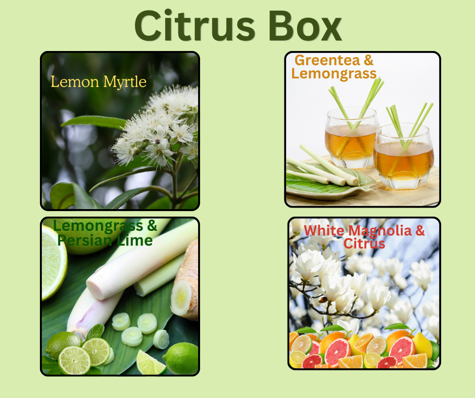 Rubywood Citrus Booster Box