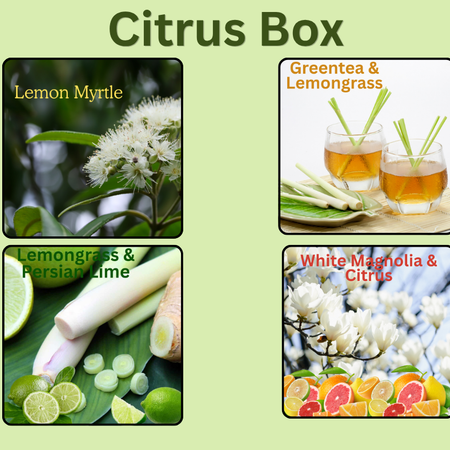 Rubywood Citrus Booster Box