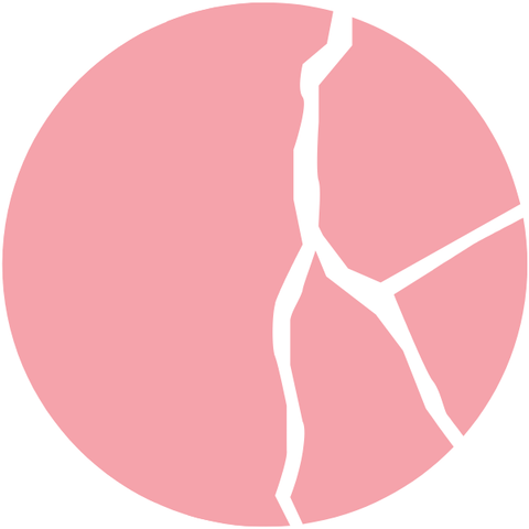 Vendor Profile Picture