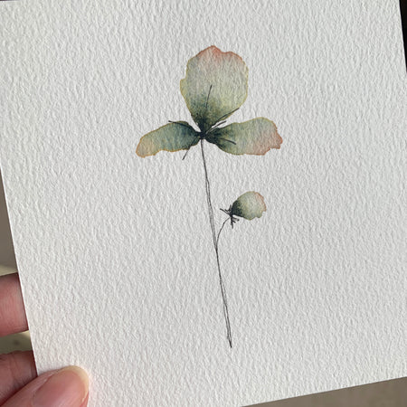 Delicate Floral Original Hand-painted Watercolour Artwork