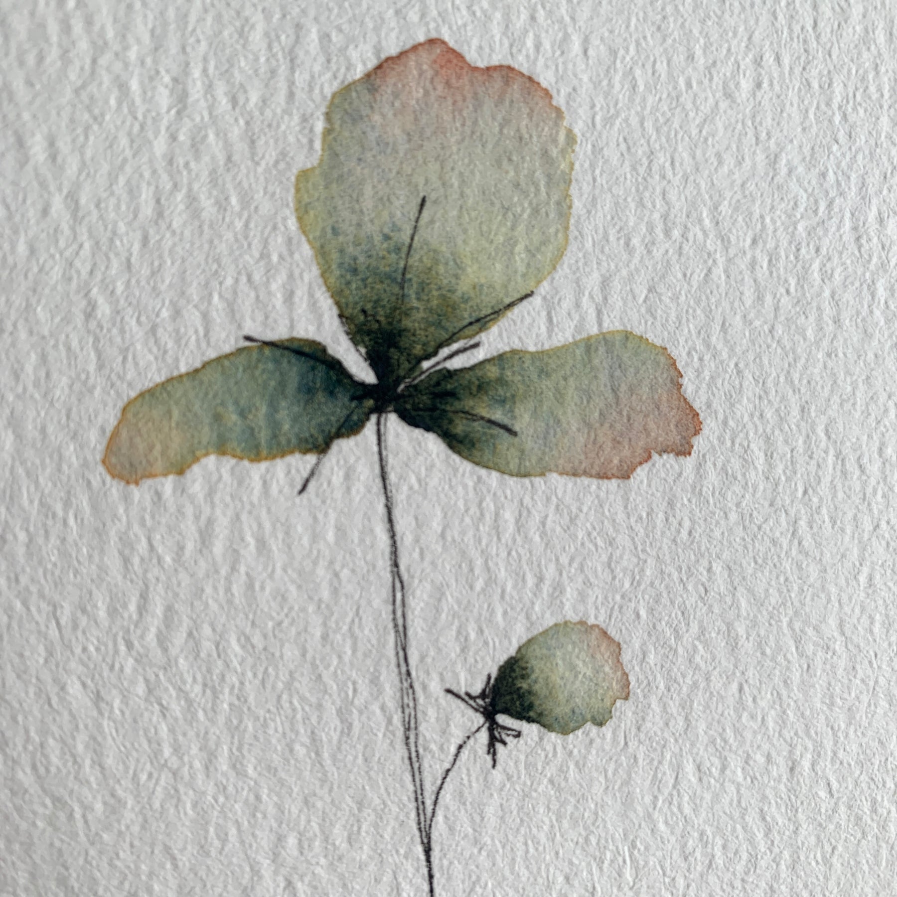 Delicate Floral Original Hand-painted Watercolour Artwork