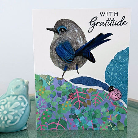 Superb fairy wren 