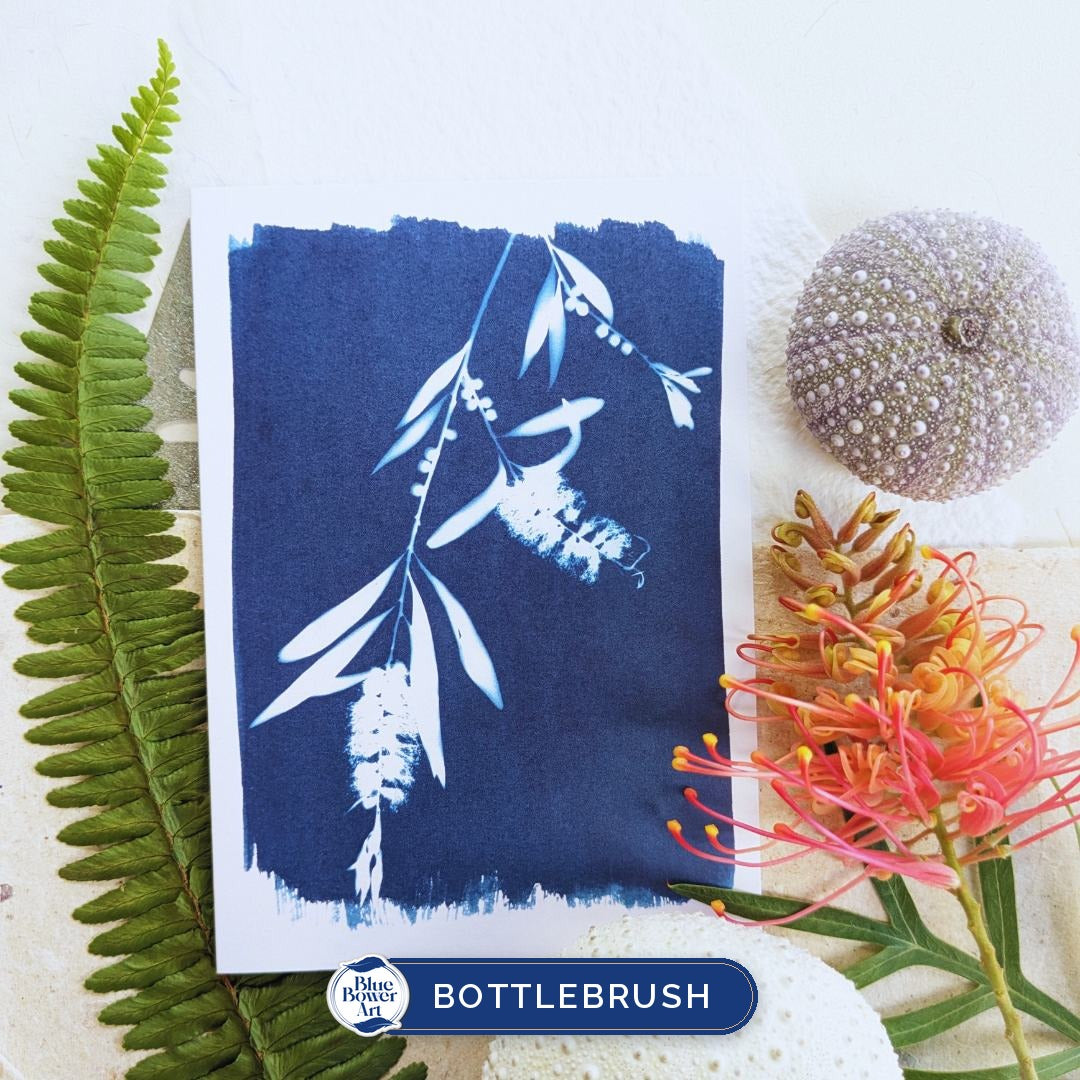 Australian Native Greeting Card Pack, Choose Your Own