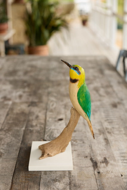 Hand carved Rainbow Bee-eater sculpture