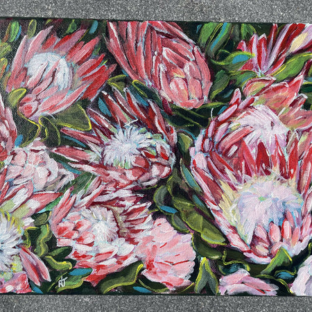 'Pretty Protea'