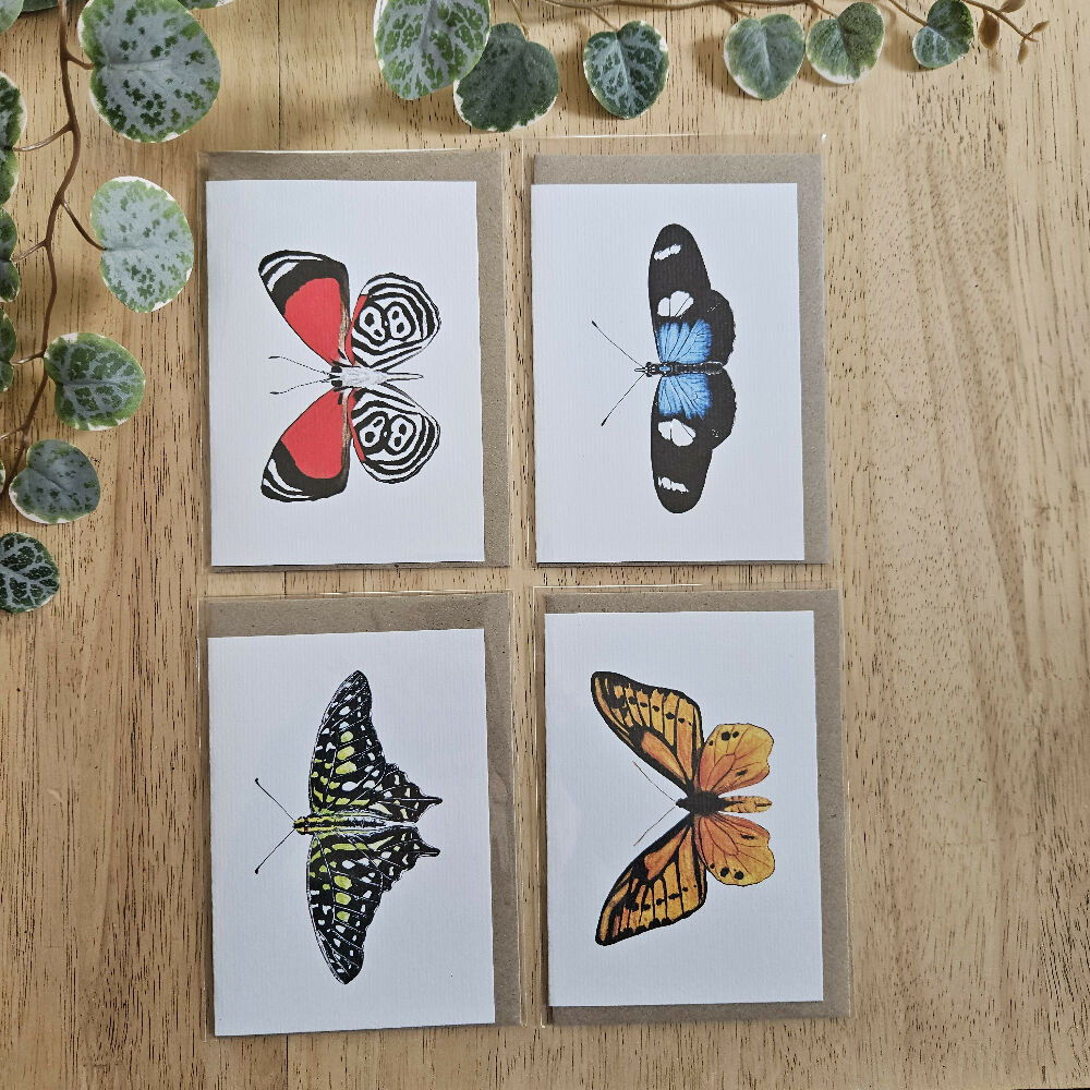 Watercolour Greeting Cards - Butterflies - Set of 4