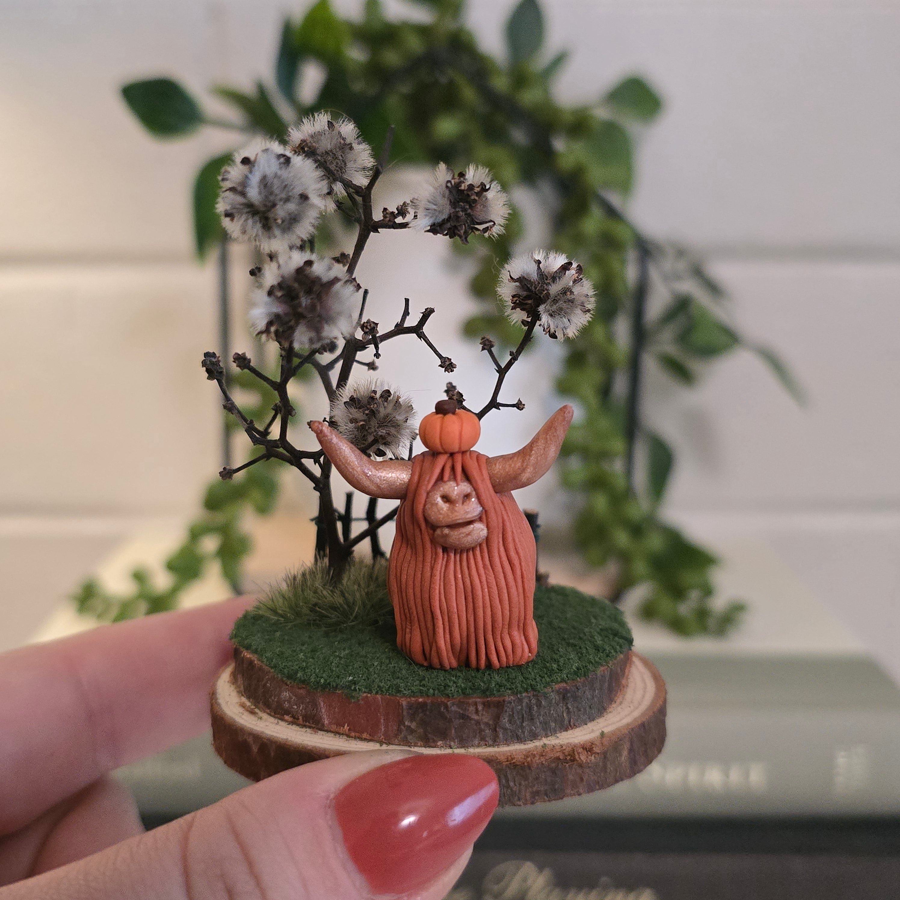 Highland Cow - Bonnie