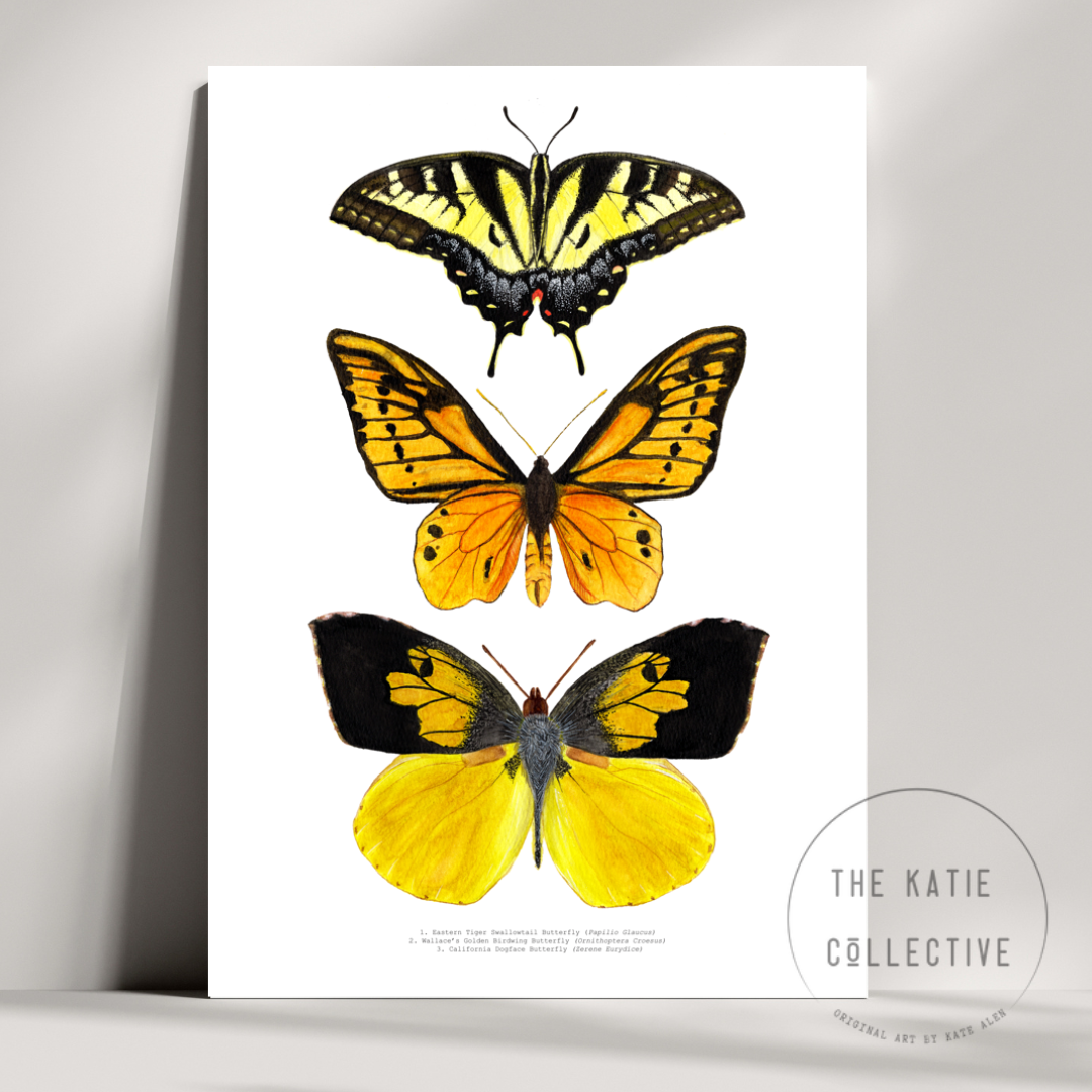 Watercolour Art Print - 'Yellow Butterfly Trio'