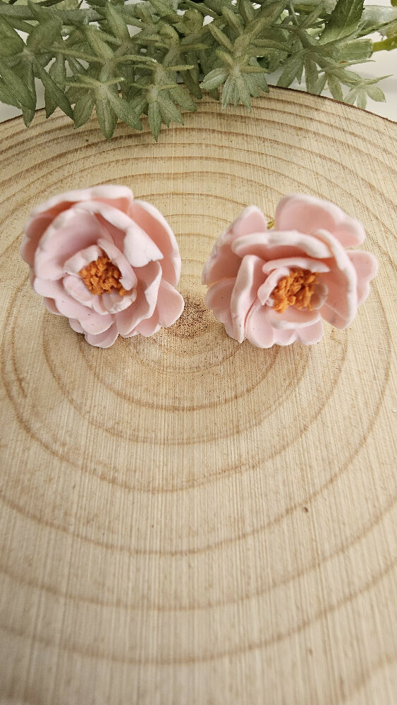 pink camelias (5)