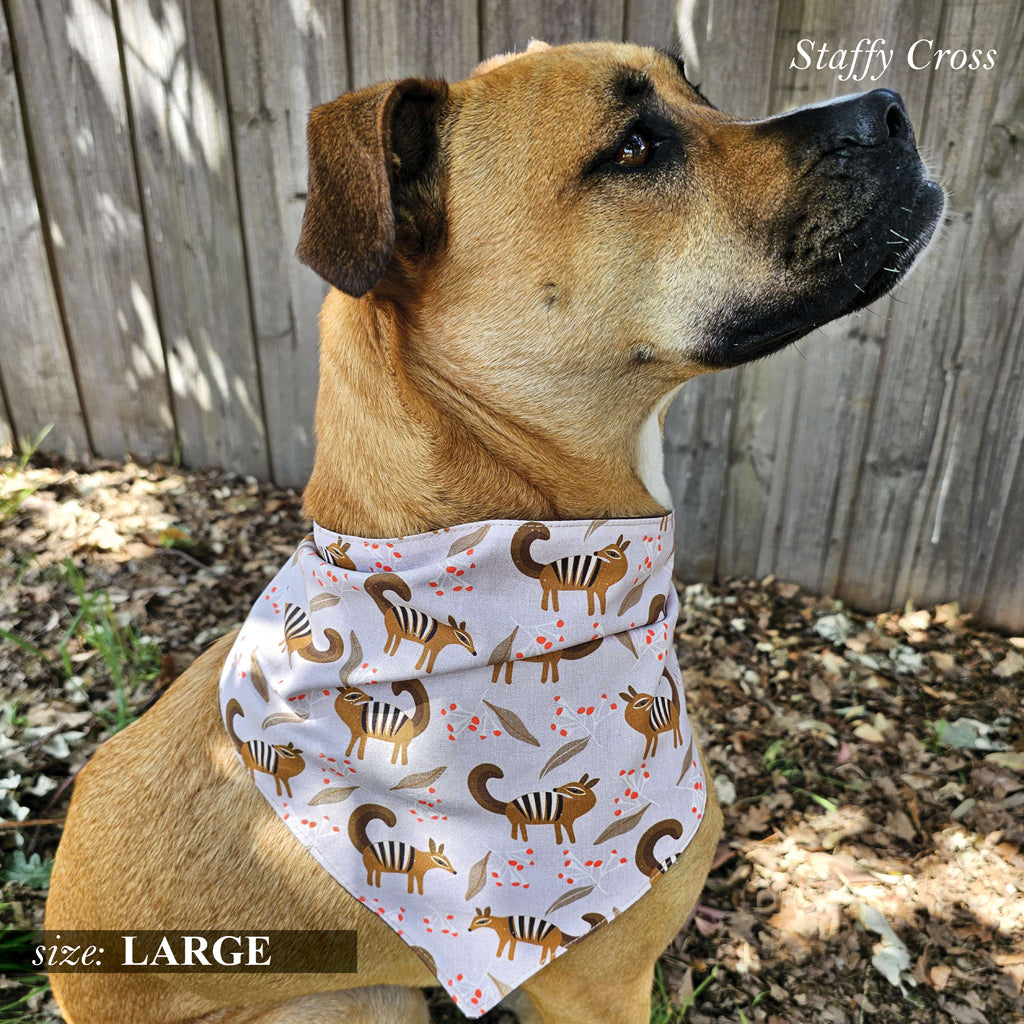 Numbat Bandanas