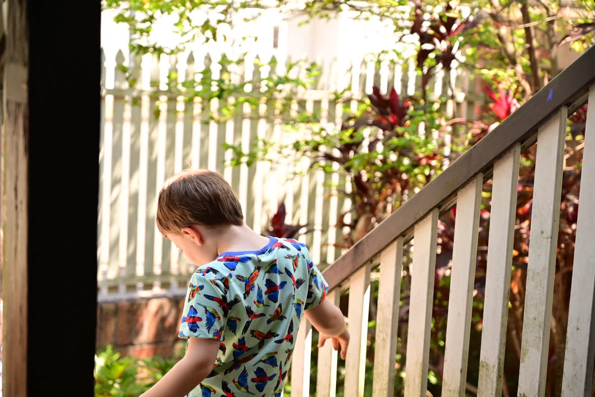 Rainbow birds organic cotton tee shirt 2026-27