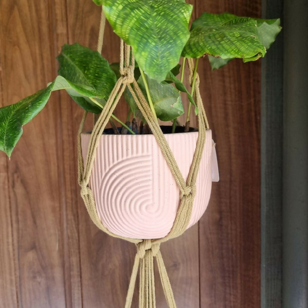 Kiralyno Double Plant Shelf Plant Hanging HippySunday Handmade Olive Plant Basket Close