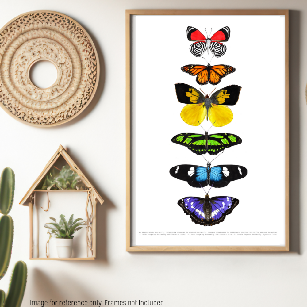 art print - the fauna series - rainbow butterfly collage