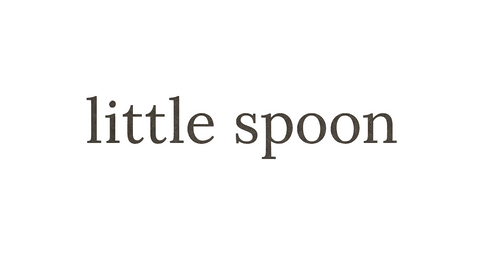 Little Spoon Vendor Logo