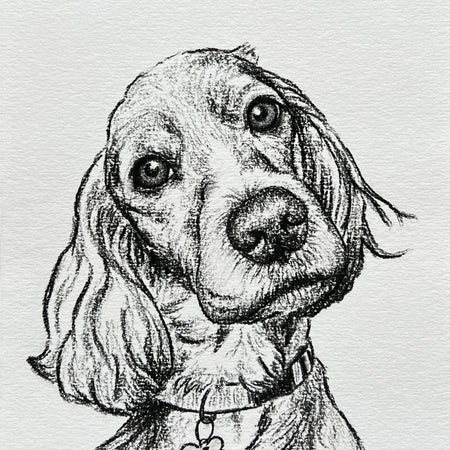 Custom Pet Portrait | Hand Drawn Charcoal Sketch
