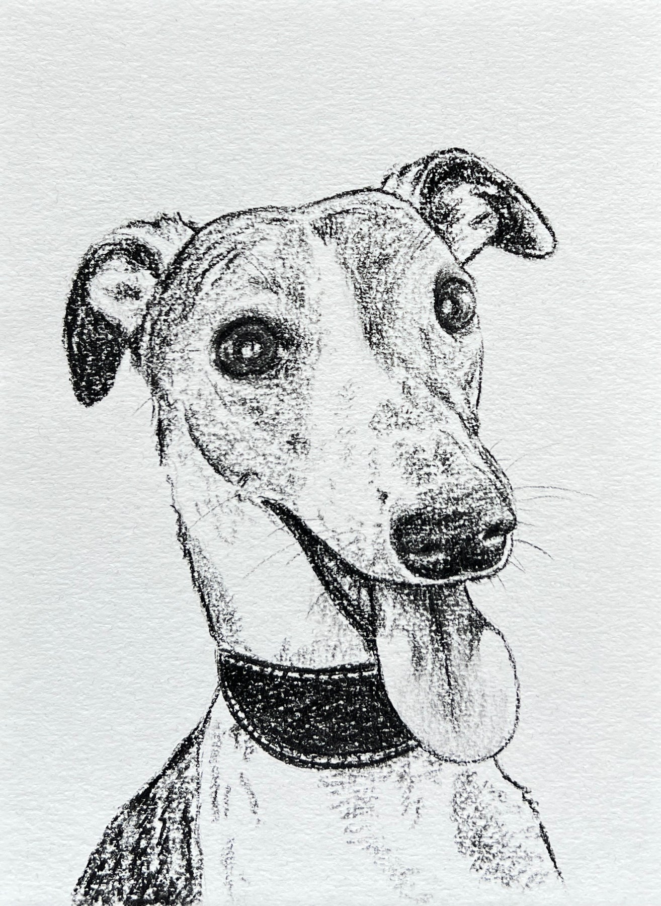 Custom Pet Portrait | Hand Drawn Charcoal Sketch